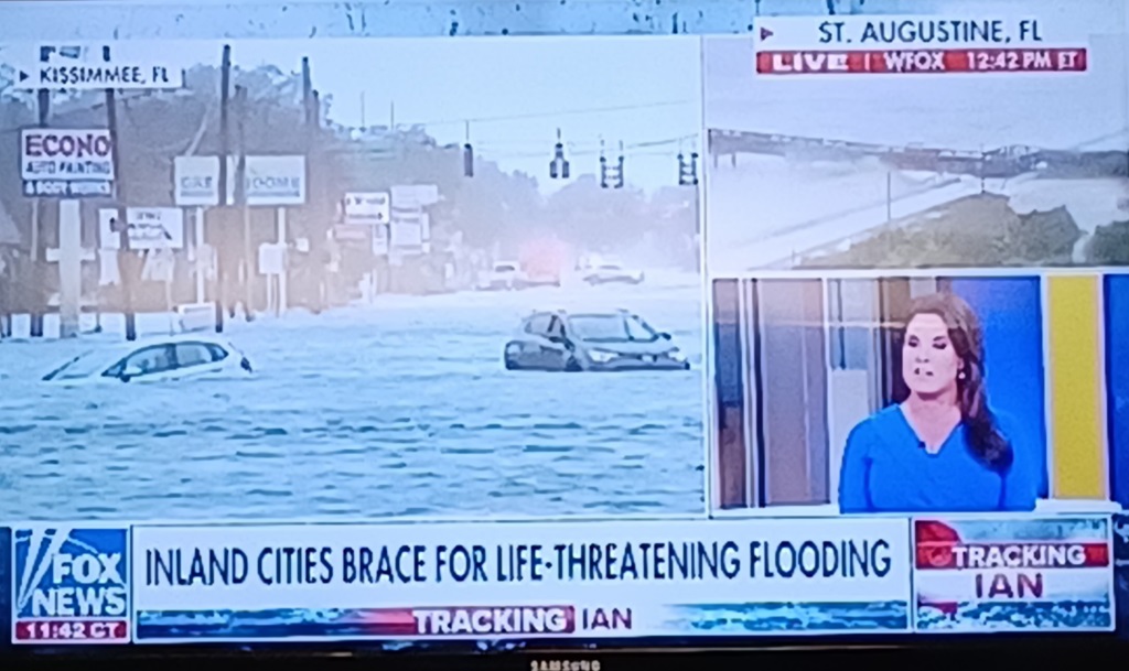 Hurricane Ian Total Loss Flooded Cars in Florida
